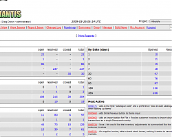 The Mantis bug tracking summary window