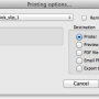 print_options.png